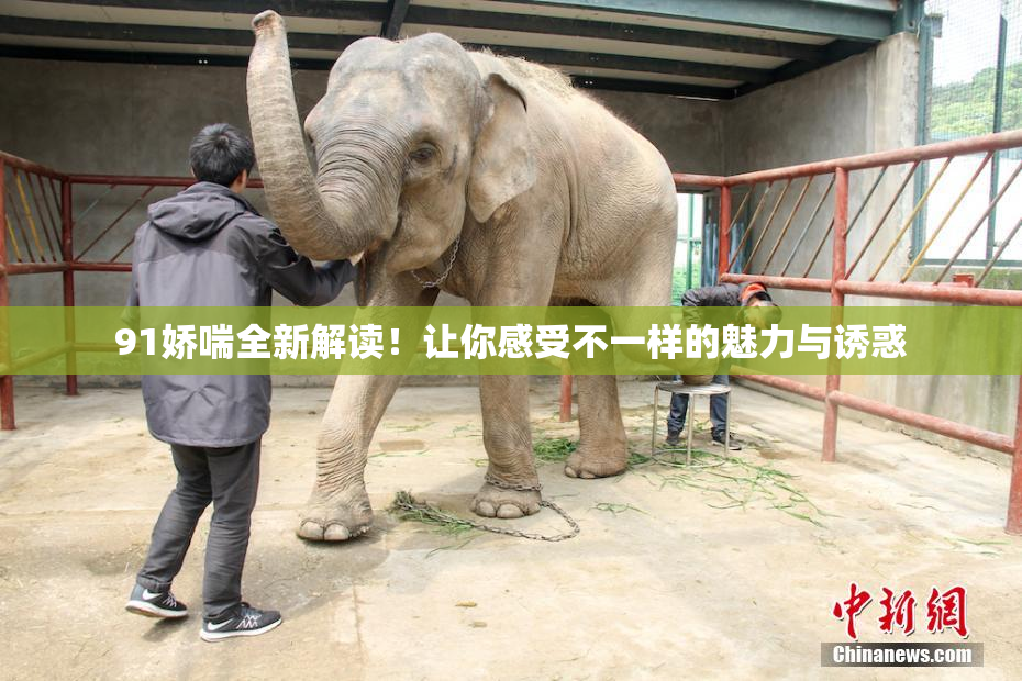 91娇喘全新解读！让你感受不一样的魅力与诱惑