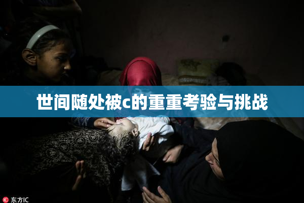 世间随处被c的重重考验与挑战
