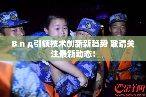 B n д引领技术创新新趋势 敬请关注最新动态！