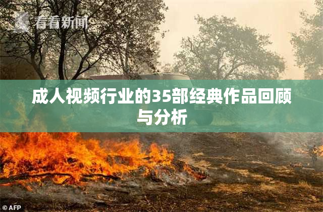 成人视频行业的35部经典作品回顾与分析