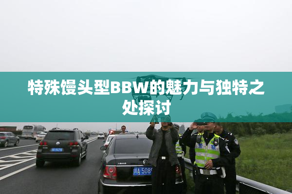 特殊馒头型BBW的魅力与独特之处探讨