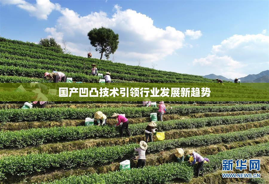 国产凹凸技术引领行业发展新趋势