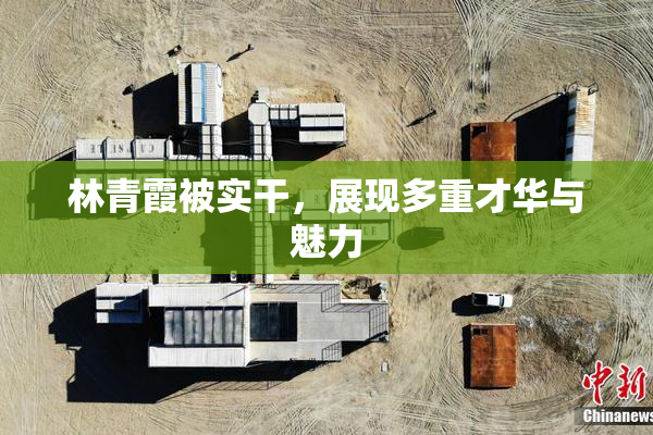 林青霞被实干，展现多重才华与魅力