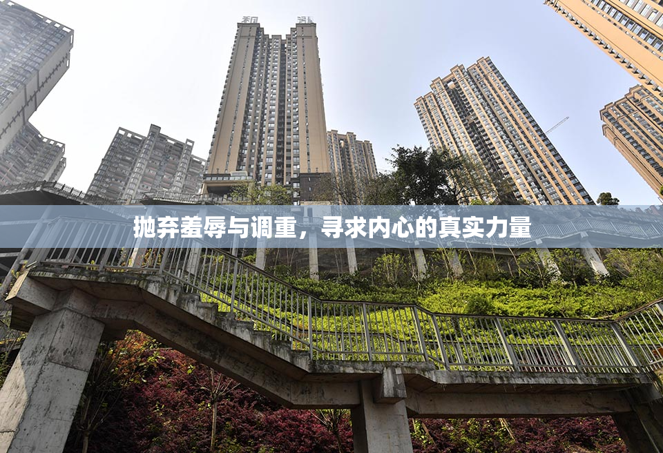 抛弃羞辱与调重，寻求内心的真实力量