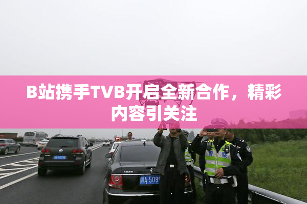 B站携手TVB开启全新合作，精彩内容引关注