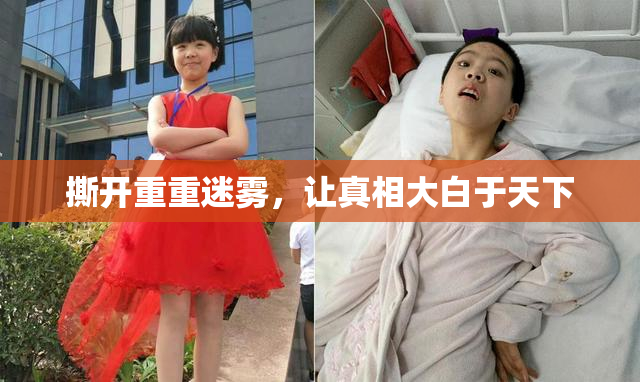 撕开重重迷雾，让真相大白于天下