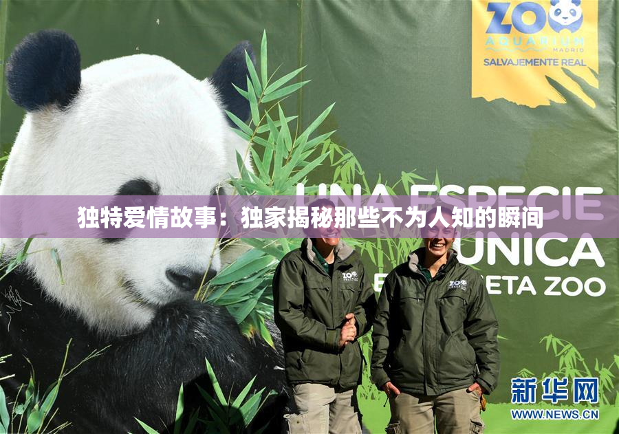 独特爱情故事：独家揭秘那些不为人知的瞬间
