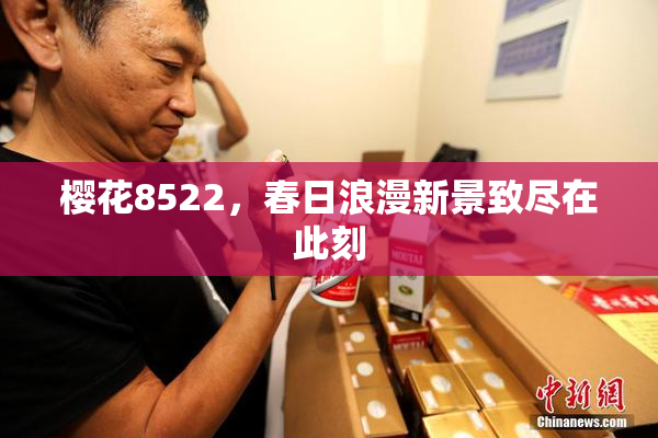 樱花8522，春日浪漫新景致尽在此刻