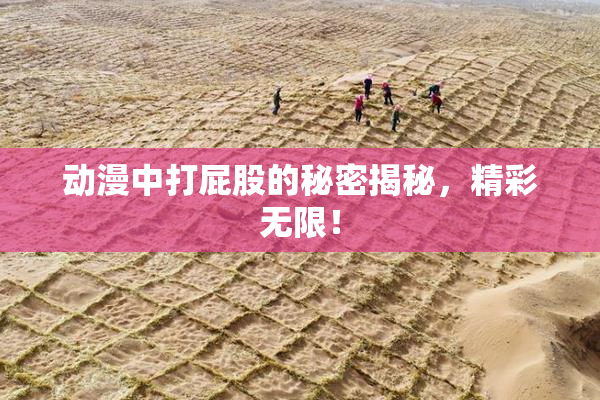 动漫中打屁股的秘密揭秘，精彩无限！