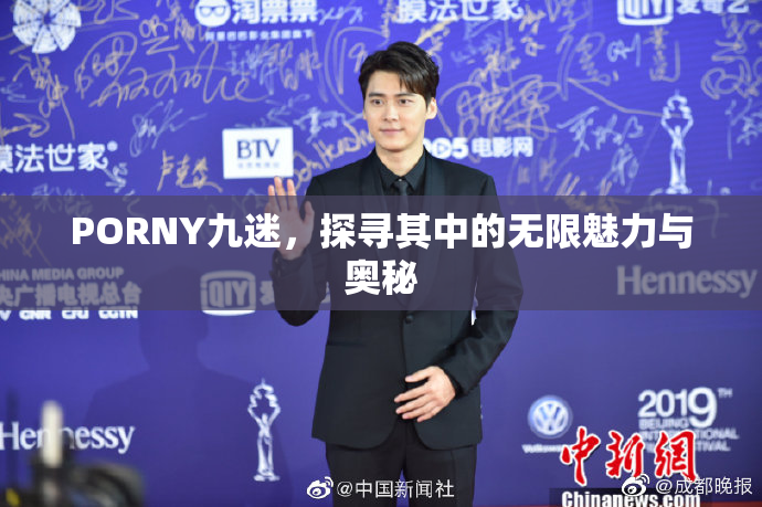 PORNY九迷，探寻其中的无限魅力与奥秘