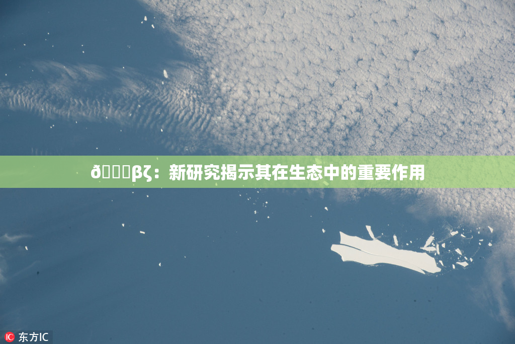 👙βζ：新研究揭示其在生态中的重要作用