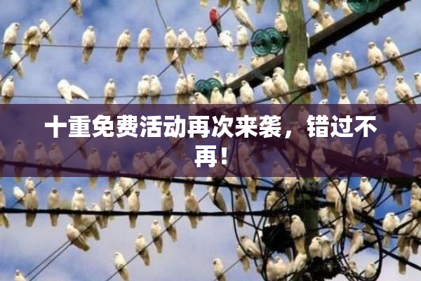 十重免费活动再次来袭，错过不再！