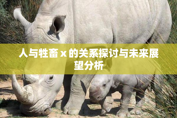 人与牲畜ⅹ的关系探讨与未来展望分析