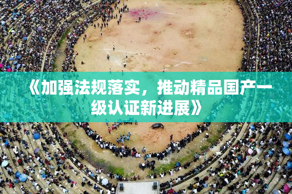 《加强法规落实，推动精品国产一级认证新进展》