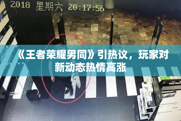 《王者荣耀男同》引热议，玩家对新动态热情高涨
