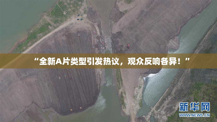 “全新A片类型引发热议，观众反响各异！”