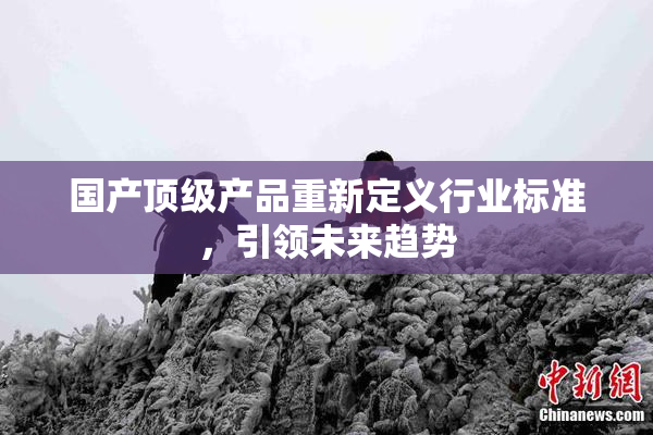 国产顶级产品重新定义行业标准，引领未来趋势