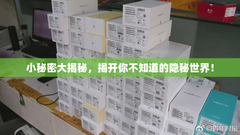 小秘密大揭秘，揭开你不知道的隐秘世界！