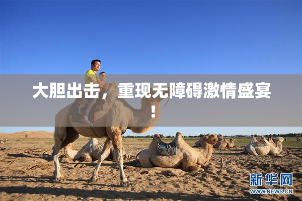 大胆出击，重现无障碍激情盛宴！