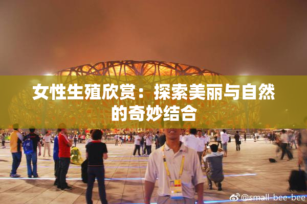 女性生殖欣赏：探索美丽与自然的奇妙结合