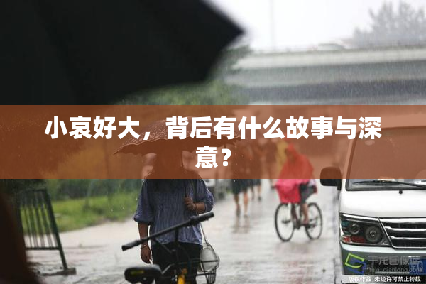 小哀好大，背后有什么故事与深意？