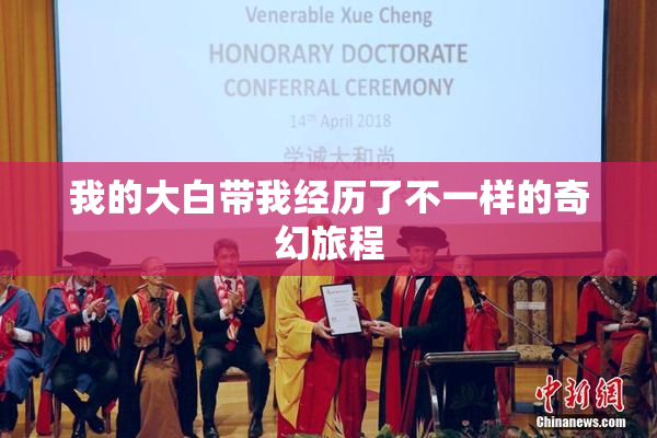 我的大白带我经历了不一样的奇幻旅程