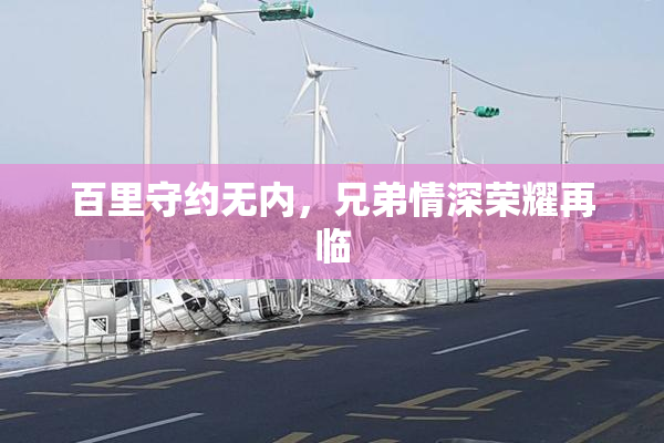 百里守约无内，兄弟情深荣耀再临