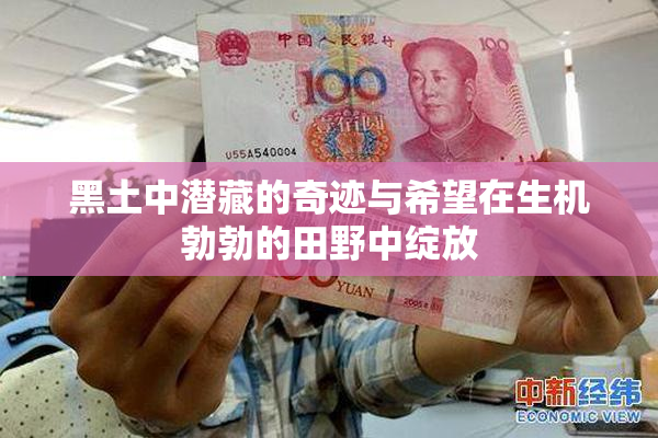 黑土中潜藏的奇迹与希望在生机勃勃的田野中绽放
