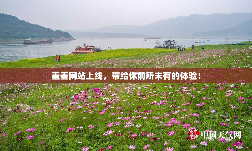 羞羞网站上线，带给你前所未有的体验！