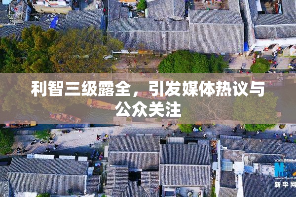 利智三级露全，引发媒体热议与公众关注