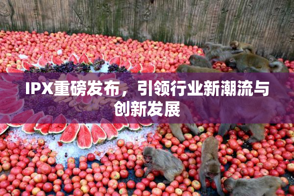 IPX重磅发布，引领行业新潮流与创新发展