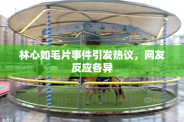 林心如毛片事件引发热议，网友反应各异