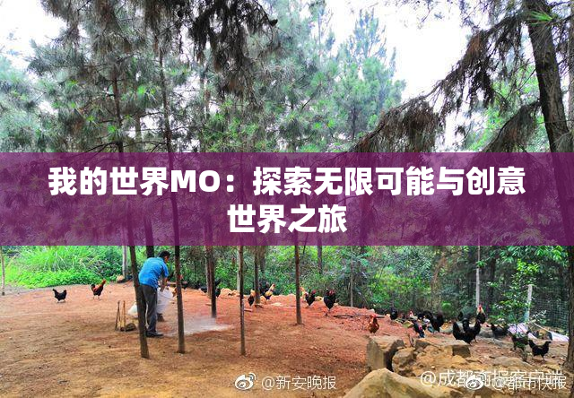 我的世界MO：探索无限可能与创意世界之旅