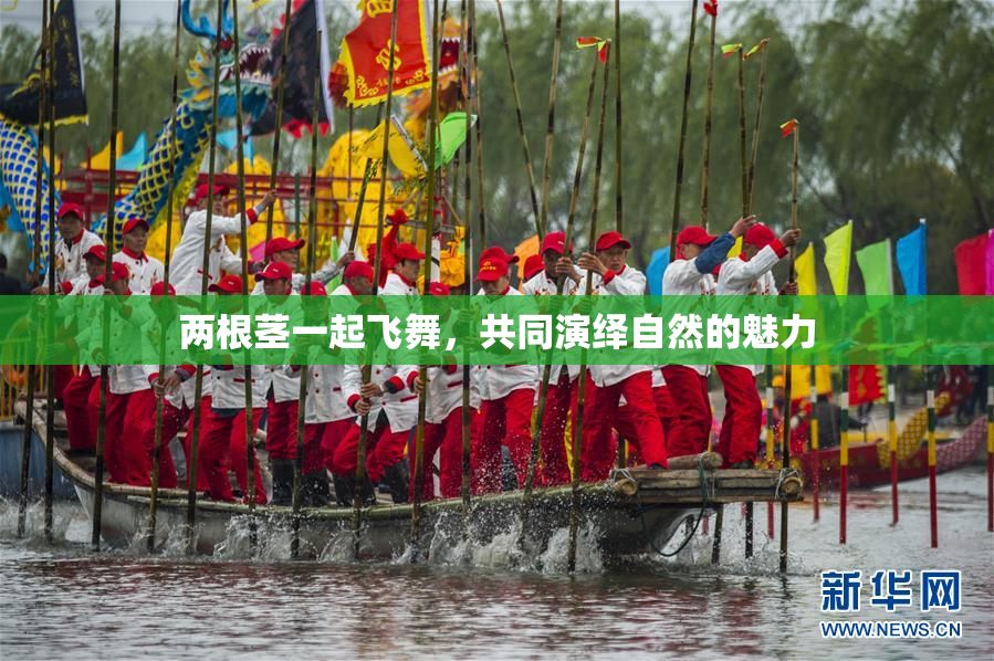 两根茎一起飞舞，共同演绎自然的魅力