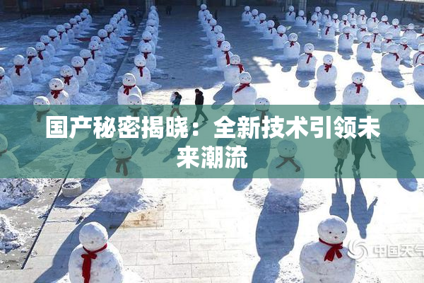 国产秘密揭晓：全新技术引领未来潮流
