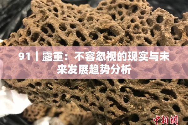 91丨露重：不容忽视的现实与未来发展趋势分析