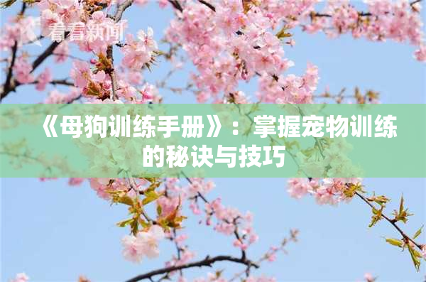 《母狗训练手册》：掌握宠物训练的秘诀与技巧