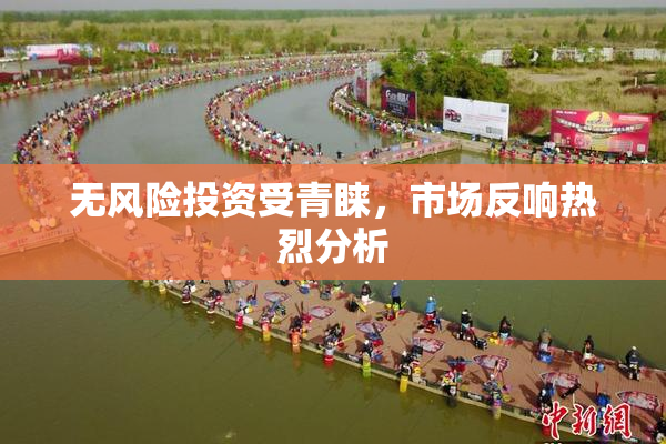 无风险投资受青睐，市场反响热烈分析