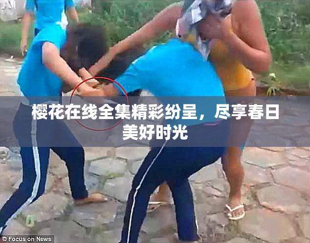樱花在线全集精彩纷呈，尽享春日美好时光