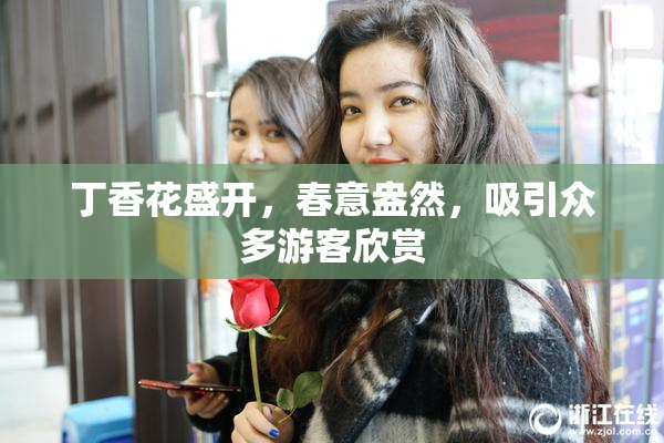 丁香花盛开，春意盎然，吸引众多游客欣赏