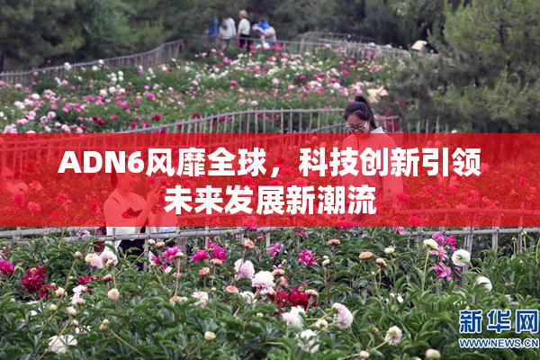 ADN6风靡全球，科技创新引领未来发展新潮流