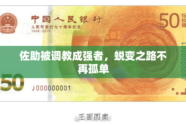 佐助被调教成强者，蜕变之路不再孤单