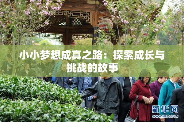 小小梦想成真之路：探索成长与挑战的故事