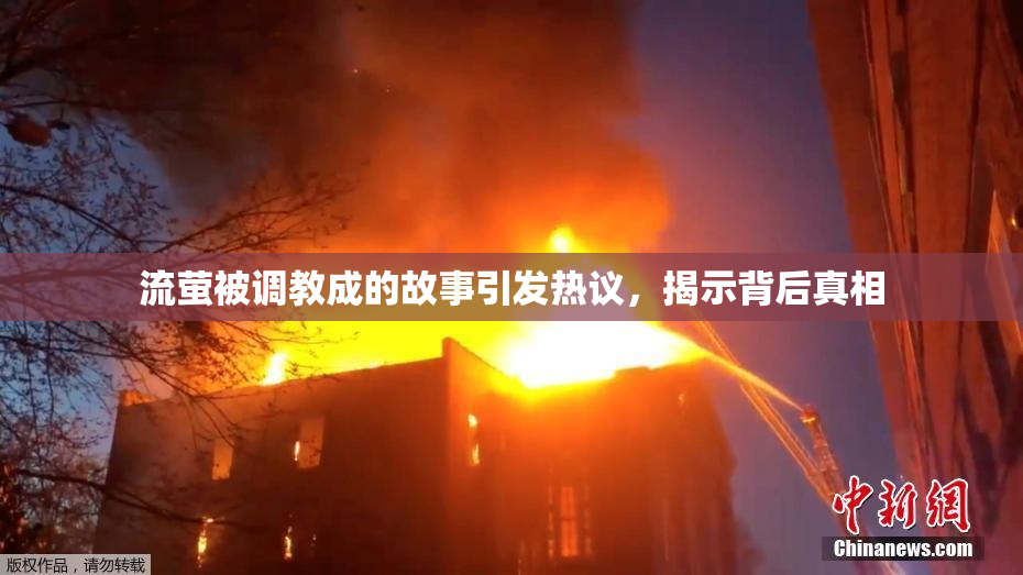 流萤被调教成的故事引发热议，揭示背后真相