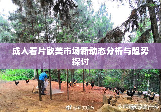 成人看片欧美市场新动态分析与趋势探讨