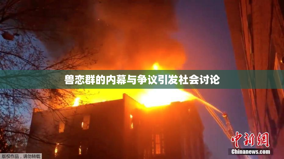 兽恋群的内幕与争议引发社会讨论
