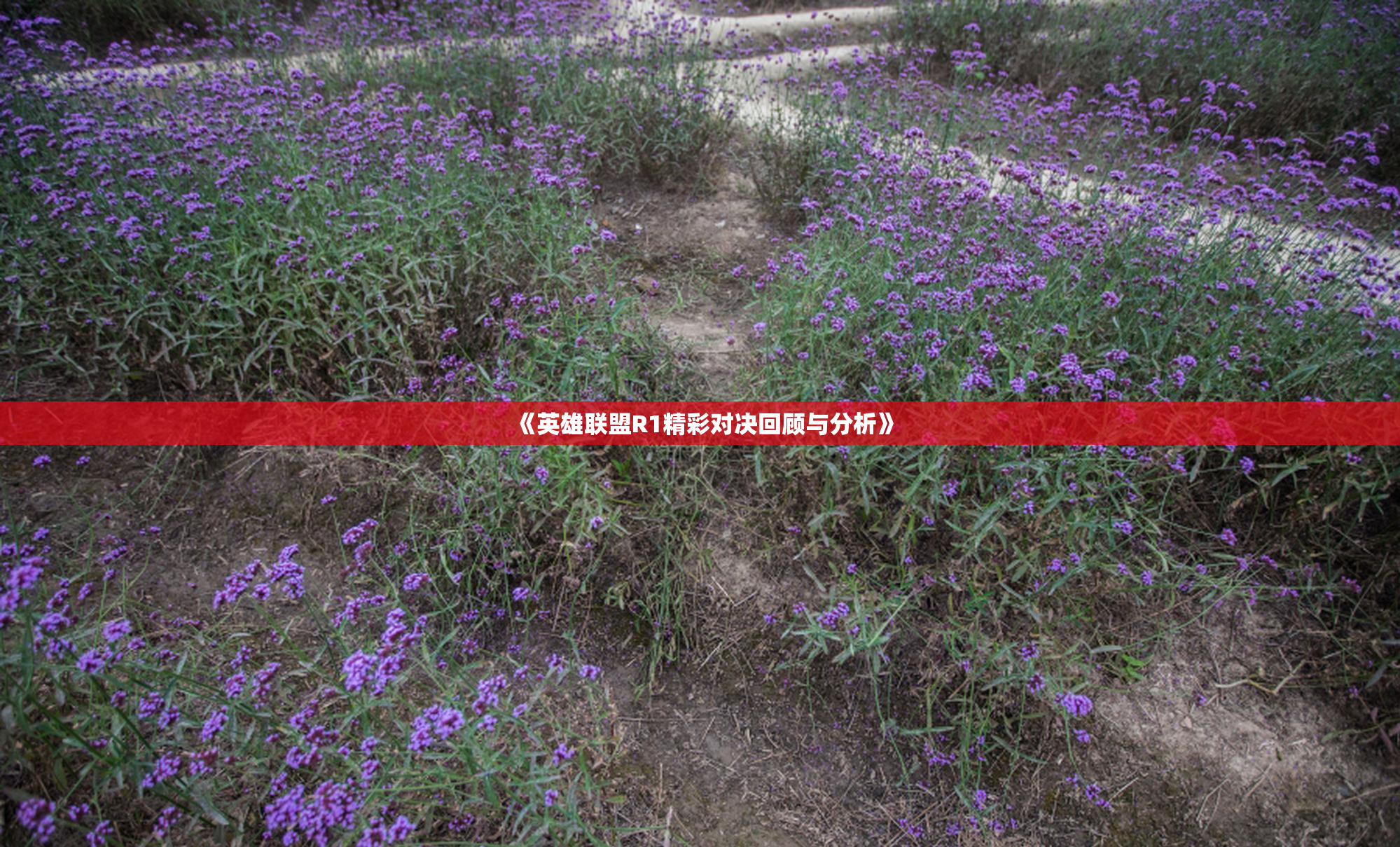 《英雄联盟R1精彩对决回顾与分析》