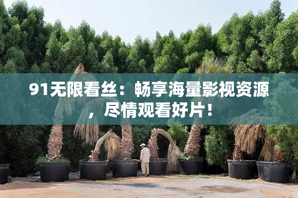 91无限看丝：畅享海量影视资源，尽情观看好片！