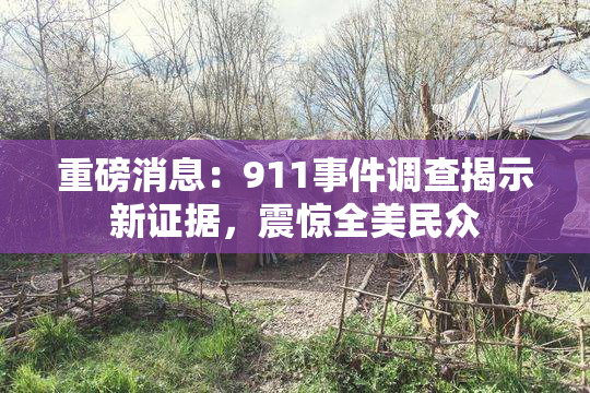 重磅消息：911事件调查揭示新证据，震惊全美民众