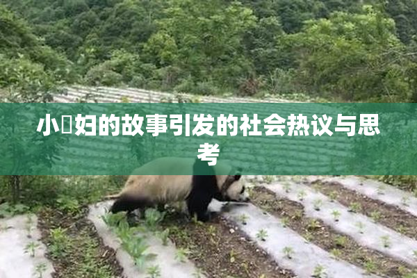 小婬妇的故事引发的社会热议与思考